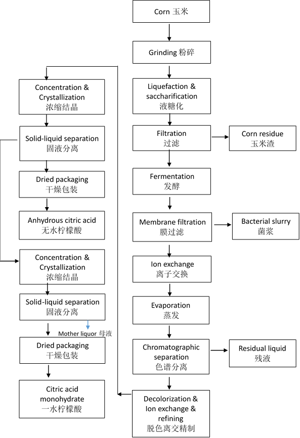 citric-acid-manufacturing-process.png citric-acid-manufacturing-process.png