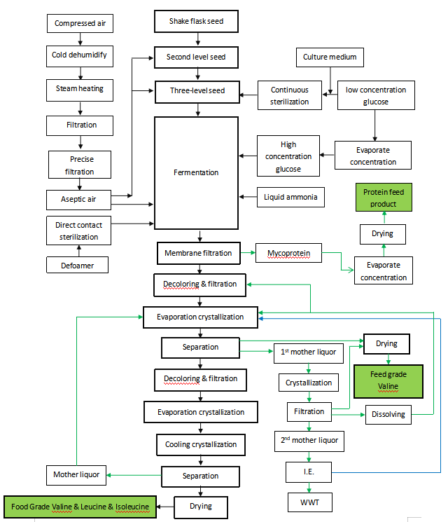 valine-leucine-isoleucine-production-plant.png valine-leucine-isoleucine-production-plant.png